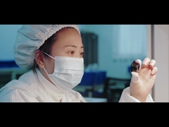 introduzione della società